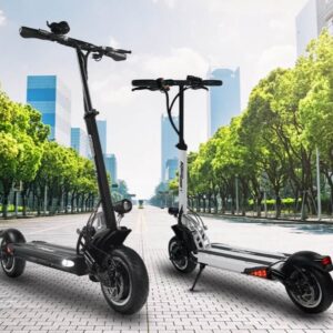 Black and white Speedway 5 electric Scooters standing in the city park.